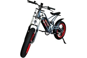 LEXGO WOWHEEL WOW3 Bici Elettrica Pieghevole - 45km di Autonomia e Velocità fino a 25 km/h - Motore Brushless da 250W con Freni a Disco e Ruote da 20''