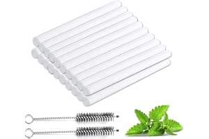 AOIBEELY Pulizia Bastoncino Glo Hyper Plus, 30 Bastoncino Realizzati su Misura per Pulizia Con 2 Spazzola per Pulizia - Pulizia Glo Hyper Buon Aiuto