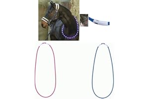 USG LED Light Up Collar for Horses