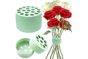 HTGWCG Porte-Tige de Fleur en Spirale 2pcs Support de Tigre en Spirale pour Bouquet de Fleurs DIY Outils Ikebana Grille Florale Réutilisable Spiral Flower Stem Holder pour l'art Floral