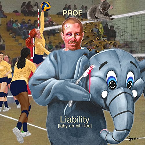 Preisvergleich Produktbild Liability [Vinyl LP]