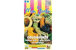Sachet de graines de Coloquinte Indian Mix gros fruits - 3 g - légume décoratif - LES GRAINES BOCQUET