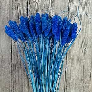 Suchergebnis auf Amazon.de für: 0 - 20 EUR - Gartenkamine / Kamine