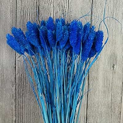 Suchergebnis auf Amazon.de für: 0 - 20 EUR - Gartenkamine / Kamine