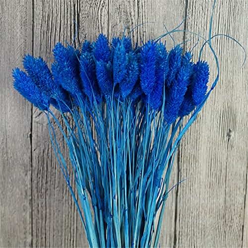 Suchergebnis auf Amazon.de für: 0 - 20 EUR - Gartenkamine / Kamine