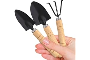 LXONTSG Mini Jardín Planta Herramienta Pala, 3 Piezas Pequeños Herramientas Jardinería, Herramientas Plantación Pequeños, Mini Herramientas Jardín, con Mango de Madera Pala y Rastrillo