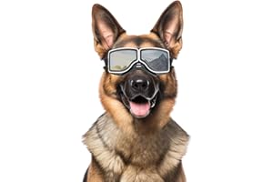NAMSAN Gafas para perros con protección UV, resistente al viento, a prueba de polvo, con correa ajustable, para perros medianos y grandes, color plateado