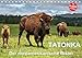 Produktbild TATONKA Der nordamerikanische Bison (Tischkalender 2019 DIN A5 quer): Indianerbüffel vor der beeindruckenden Kulisse des Yellowstone Nationalparks (Geburtstagskalender, 14 Seiten ) (CALVENDO Tiere)