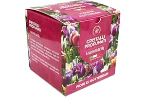 DL SERVICE Gránulos perfumados para aspiradoras – Cristales ambientales – Caja de 6 Sobres de 50 gr (Flores de Rotterdam)