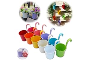 GIOVARA Lot de 10 pots de fleurs à suspendre en métal avec trou de drainage Crochet amovible Assortiment de couleurs