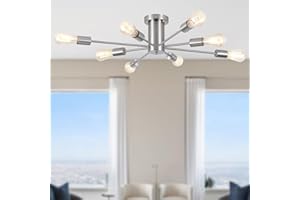 ‎LXWNYY Deckenlampe Silber Wohnzimmer Kronleuchter Modern, 8 Flammig Industrial Sputnik Ceiling Light Deckenleuchte Schlafzimmer, E27 Fassung Vintage Deckenlampe Wohnzimmerlampe Lampe für Esszimmer Küche Flur