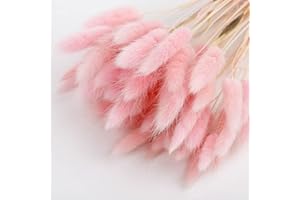 YUKIYI 60 steli 36 cm Lagurus Bunny Code, Pampa Erba Decorazione per la Casa Decorazione Della Torta Decor Code Di Coniglio Fiori Essiccati Bouquet per Boho Decor Tavolo Decorazione Camera Da Letto