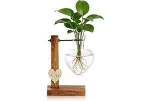 Träställ glasväxtterrarium, hjärt-glas-hydroponivaser, växtfödningsstation bordsväxtkärl för blommor, hydrokulturblomvas, små