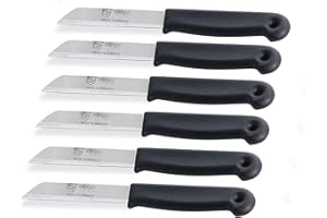 INSTRUMENTENRW Set de couteaux à légumes de Solingen Fabriqué en Allemagne avec une lame tranchante et précise en acier inoxydable (Long, 6)