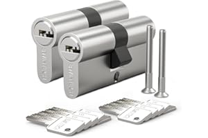 Bwintech 2 pieza 30/30mm Euro Latón Cilindro, cerradura de llave/cilindro de 60mm con 10 llaves horizontales de latón, antirrobo, antiperforación, antigolpes, níquel satinado