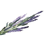 SUCES K&uuml;nstliche PE Lavendel Gef&auml;lschte Blume Hochzeit Bouquet Party Wohnkultur Unechte K&uuml;nstliche Deko Blumen 1 Strau&szlig; 12 K&ouml;pfe Lavendel Blume f&uuml;r Haus Garten Party Blumenschmuck (D)