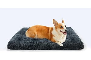 MDDK DY Panier Lavable pour Chien déhoussable - Lit Moelleux Taille Moyenne (75x50x8 cm) avec Base antidérapante - Gris foncé