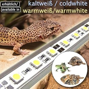 LED-Beleuchtung (kaltweiß, 60cm) Simulator Steuerung Terrarium/Aquaterrarium Reptilien Amphibien Spinne Insekt TB4