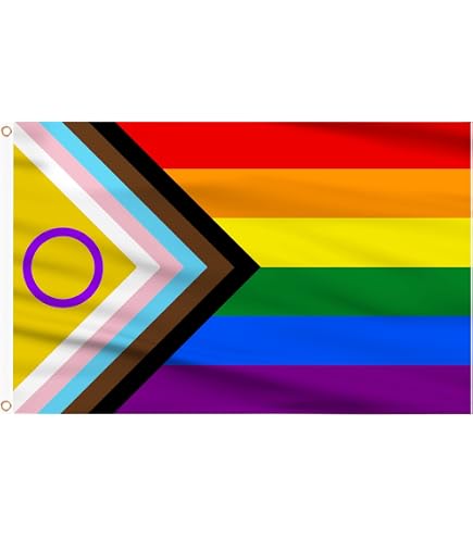Stormflag Bandiere Galaktisches Impero 90 x 150 cm Star Wars bandiera poliestere pongee 90 g con occhielli e doppia cucitura