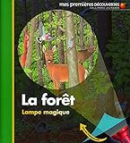 Image de La forêt