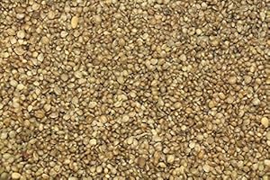 Kampol 10 kg Hanfsamen normal