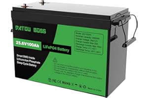 DATOUBOSS Batteria al Litio 24V 100Ah LiFePO4, BMS 100A Incorporato, Fino a 15.000 Cicli Profondi, Uscita Massima 2560Wh, Supporto Collegamento in Serie/Parallelo, per Camper, Sistema Solare