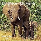 Elefanten T&C 2016 by 