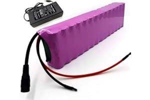 SEILYLANKA with Charger 7Ah 13S2P 48V Battery e-Bike ebike Electric Bicycle Li-ion Customizable 245x70x50mm