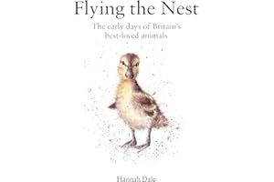 Flying the Nest: The early days of Britain’s best-loved animals (National Trust Art & Illustration)