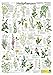 Heilpflanzen (Planet-Poster-Box) by 