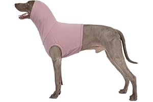 PUMYPOREITY Body Chien, Body Post Operatoire Body Medical Chemise T-Shirt Combinaison Chirurgicale pour Chien Pull Gilet(Violet, 3XL)