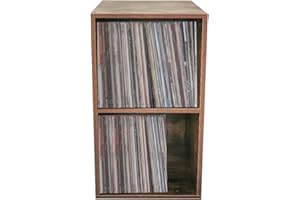 VDD Mueble de almacenamiento para discos de vinilo LP - biblioteca - 2 compartimentos - nogal