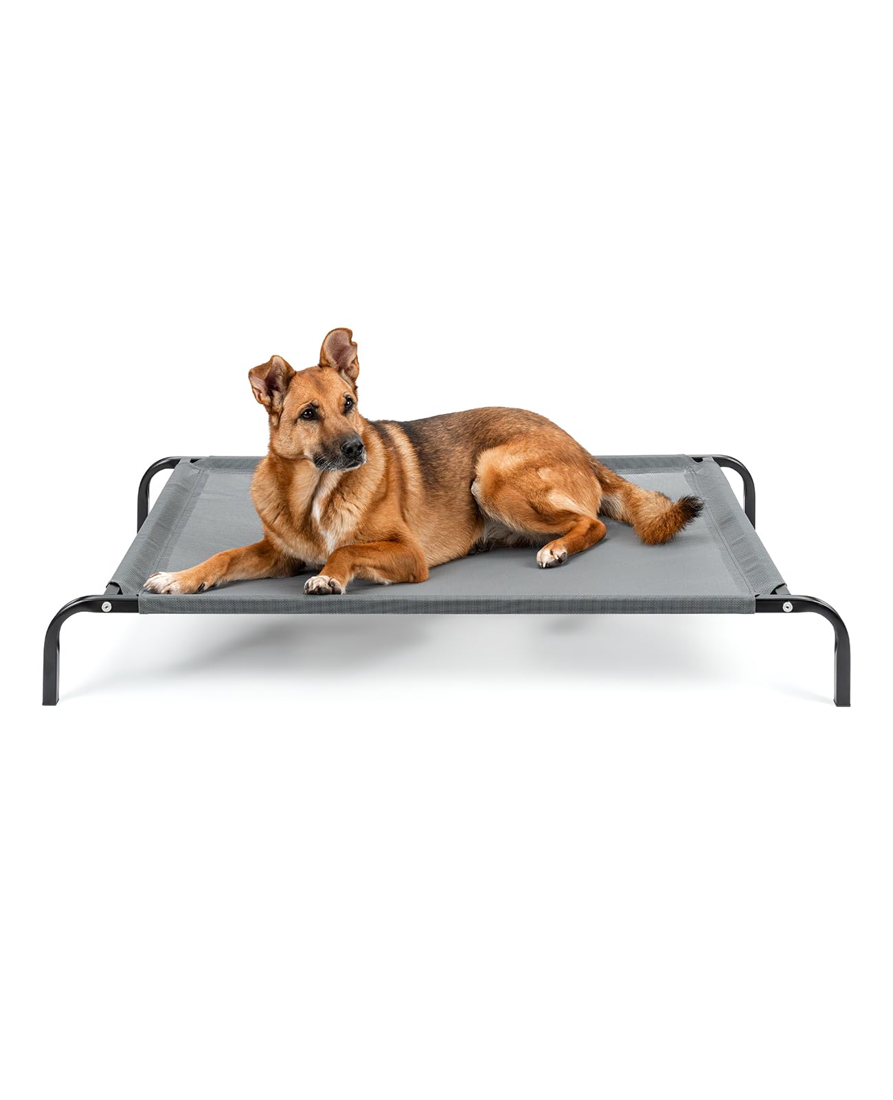 lionto Cama elevada para Perros Tejido en Textilene, (L) 114x76 cm Gris