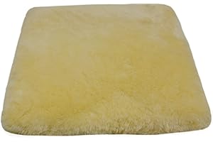 REISSNER LAMMFELLE Cuscino in Pelle di Agnello Lusso conciato in Modo medicinale (Base per Sedia a rotelle/Lettino per Gatti)