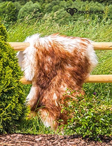 Natural Soft &amp; Long Icelandic Sheepskin Rug - Extra Long Wool WHITE, BLACK, BROWN (105-115, Brown)