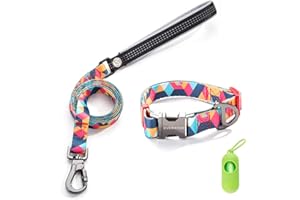 TVMALL Collar y Correa para Perro Geometría Clásica Estilo Collar de Perro Ondulado y Cuerda Combo Juego, Ajustable Collar, para al Aire Libre Entrenamiento para Correr Perros Pequeños, Medianos y Grandes