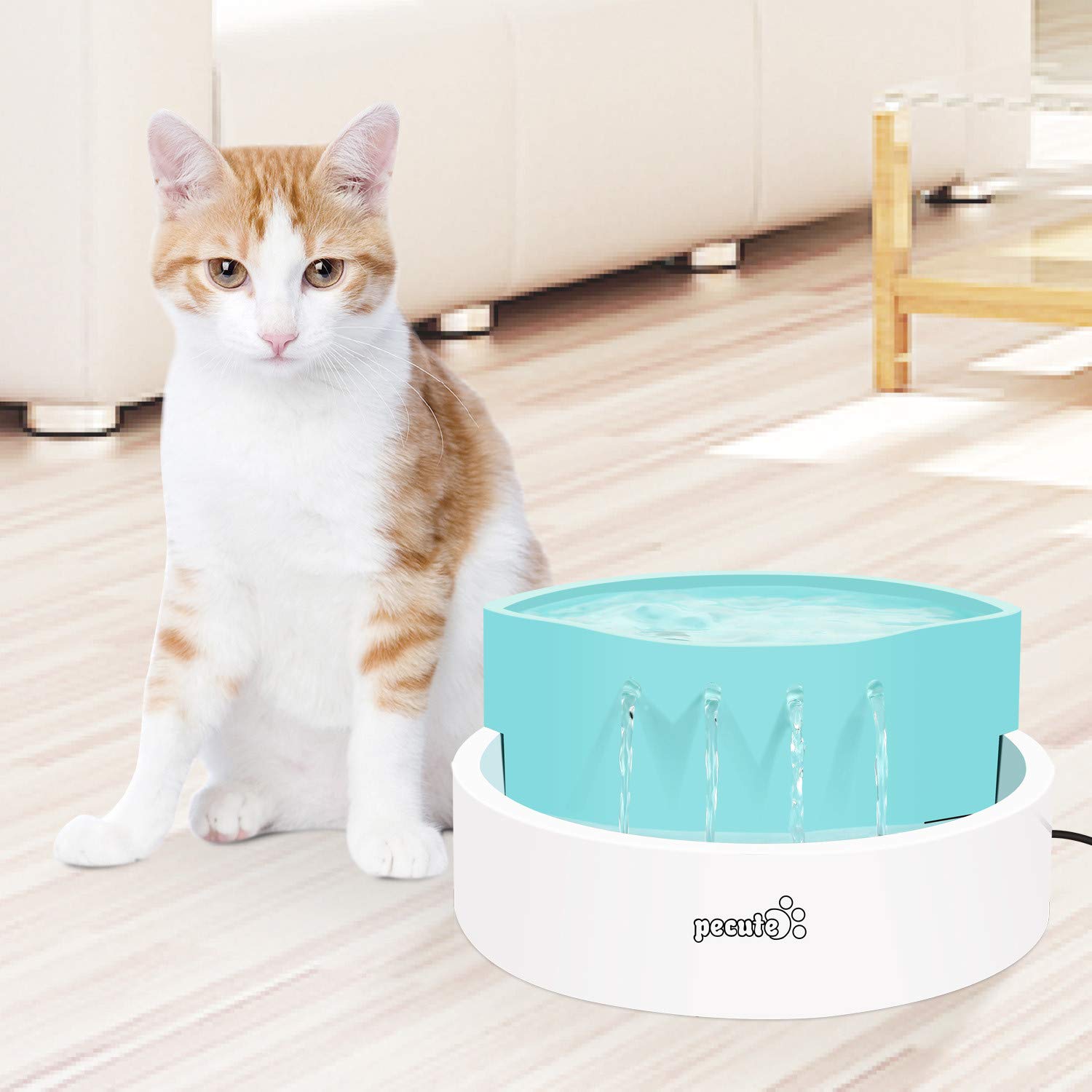 Pecute Fontana per Gatto,45DB Ultra-Quiet Automatic Circulation, per Gatti e Cani - immagine 9