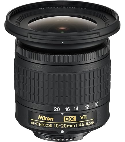 Nikon AF-P DX NIKKOR 10-20mm f/4.5-5.6G VR - Objetivo para cámara