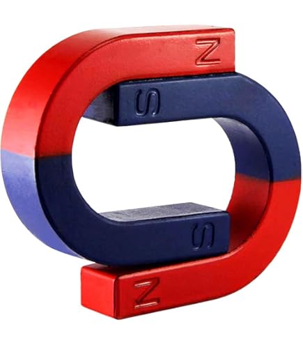 Barra Magnetica Per Esperimenti Scuola - Magnete Cilindrico Rosso/Verde Con Linee Di Campo - Foto 4