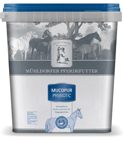 Mhldorfer Aloe Vera Juice - 500 ml - Deacidifying, Detoxifying and  Anti-Inflammatory - Supports Wellbeing - Practical Dispenser Bottle :  Amazon.de: Pet Supplies