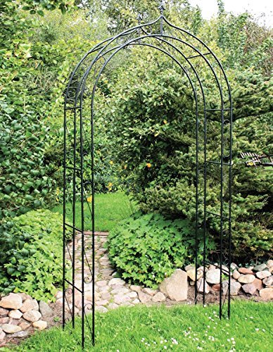 Rosenbogen 121x40x248 cm schwarz