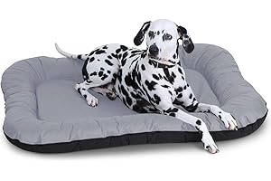 Knuffelwuff Wasserfestes In und Outdoor Hundebett Lucky aus Nylongewebe XL 90 x 75cm Grau - abnehmbarer Bezug - waschbar - für große, mittelgroße und kleine Hunde