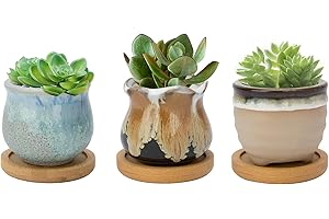 Warmplus 6.5CM Ceramic Succulent Plant Pot, Cactus Pots for Indoor Outdoor Plants, Small Flower Pot Flowing Glaze with Drainage and Bamboo Tray, Great for Home Decor, Set of 3 (Plants Not Included)