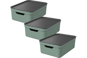 ROTHO Jive Dekobox Lot de 3 boîtes de rangement 10l avec couvercle, Plastique (PP recyclé), 10l (37.5 x 27.8 x 13.5 cm), Vert