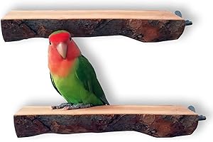 QeeHeng Plataforma de Perca de Madera, 2 Piezas de Perca Natural, Soporte de Juego de pájaros Plano, Accesorios de Jaula para periquitos pequeños y medianos, guacamayos, Juguete de Ejercicio