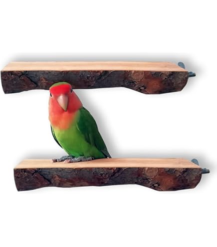 QeeHeng Vogelstandaard, zitstok van natuurlijk hout, papegaaienbaars voor papegaaien, kleine parkieten, valkparkieten, ara's, dwergpapegaaien, vinken QeeHeng Vogelstandaard, zitstok van natuurlijk hout, papegaaienbaars voor papegaaien, kleine parkieten, valkparkieten, ara's, dwergpapegaaien, vinken