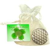 Ornamento Cane Portafortuna Con Moneta - Talismano Positivo, Regalo Di Buon Auspicio, Per Guarigione E Supporto