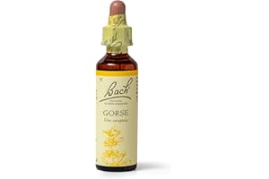 BACH FLOWER REMEDIES Bach Original Flower Remedies (Gorse) Know Your Own Mind, Remain Hopeful, Emotional Wellness, Natural Flower Essence, 20ml