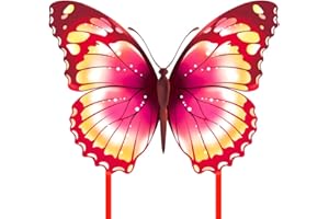 Mint's Colorful Life Drago farfalla aquilone per bambini e adulti