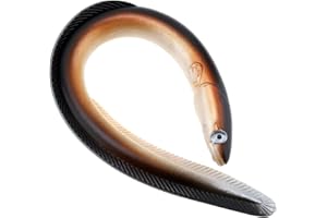 OriGlam 30cm / 11.81inch Esca per pesca a anguilla, anguilla morbida, esca per pesca notturna in 3D, anguilla